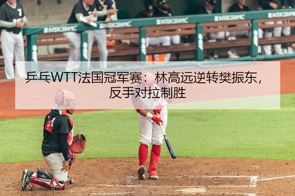 乒乓WTT法国冠军赛：林高远逆转樊振东，反手对拉制胜